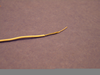 Miniature & Ultra-miniature Ultra-flexible Co-ax Cable -- B26 to B38 - Image