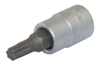 Sockets -- 103166 - Image