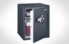Combination FIRE-SAFE&reg; -- CS5481 - Image
