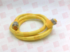 QD Cable/Cord Set - 3631959 - Radwell International