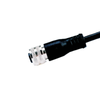 M12 Shielded Female Cable Connector -  - Shenzhen QH Industrial Co., Ltd