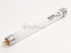 4 Watt, 6 Inch T5 Cool White Fluorescent Bulb - 332361 - bulbs.com