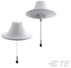 Antennas - CMS38606-30NF - TE Connectivity
