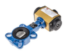 Pneumatic Actuated Valves -- 7998799 - Image