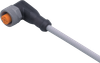 Connecting cable with socket - EVW009 - ifm electronic gmbh