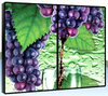 Easy Setup Video Walls - DMPNB-046 - GPEG International Ltd.