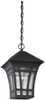 Exterior -Hanging - 352374 - Light Center (The)