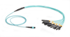 1m MTP OM3 Fiber Optic Harness Cable Plenum 12-Strand -- FOHC20M3-MPLC-12AQ-1