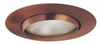 Incandescent/Fluorescent/HID Recessed Trim - 529-ABZ - Juno Lighting Group