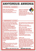 Brady B-120 Fiberglass Reinforced Polyester Rectangle White Chemical, Biohazard, Hazardous & Flammable Material Sign - 7 in Width x 10 in Height - TEXT: ANHYDROUS AMMONIA - 48846 - 754476-48846 - R. S. Hughes Company, Inc.