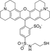 Texas Red’-2-Sulfonamidoethyl Mercaptan - 31307 - Medical Isotopes, Inc.