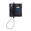 Model FT400A-A Industrial Desk / Wall Telephones - Zone 1 - FT400A-A - Federal Signal Corporation - Industrial Signaling and Systems
