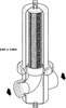 Stainless Steel Steam Filters -- CSF16T - Image