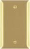 Blank Plates -- Box Mounted, One Gang, Brass -- SB13 - Image