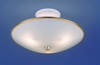 SL7513 Semi-Flush Mts.-Bowl Style - 784549 - Capital Lighting, Inc.
