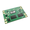 Microcontrollers, Microprocessor, FPGA Modules - 122-SM-K24-XCL2GI-ND - DigiKey