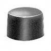 Push Button Caps -- 9138911