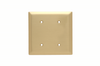 Blank Plates -- Strap Mounted, Two Gang, Brass -- SB24 - Image