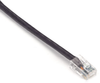 100FT Violet CAT6 550MHz Patch Cable UTP CM No Boot - EVNSL628-0100 - Black Box