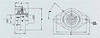 SFT / UCFL 2-Bolt Flange Units -- SFT10 - Image