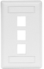 Datacommunication Face Plate - IFP13W - Hubbell Incorporated