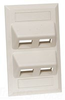 Datacommunication Face Plate - AFP14I - Hubbell Incorporated
