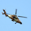 Tigre Landing Gear