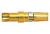 D-Sub Connectors - 09691825422 - Powell Electronics, Inc.