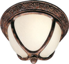 Exterior -Ceiling Mount - 6315 - Light Center (The)