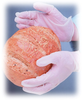 PIP 64-346PF Clear Medium Non-Latex Synthetic Powder Free Disposable Gloves - Food Grade - Smooth Finish - 616314-14833 - 616314-14833 - R. S. Hughes Company, Inc.
