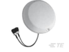 Antennas - CMD69423P-30NF - TE Connectivity
