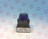 Pilot Light - 80568481 - Radwell International