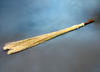 Cobweb Sweep - BER1325 - Braun Brush Co.