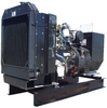 Perkins 150 kW Diesel Generator