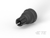 Automotive Connector Caps & Covers - M902-2193 - TE Connectivity