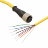 Circular Cable Assemblies - 2170-SXA-815D-ND - DigiKey