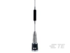 Antennas - B8065CNS - TE Connectivity