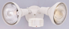 P218C-06 Exterior -Spot Lights - 723887 - Capital Lighting, Inc.