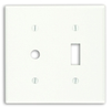 Combination Wallplates -- 86077 - Image