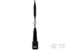 Antennas - B4305CNS - TE Connectivity