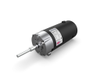 PM6 110V 3000 RPM - 775125 - parvalux by maxon