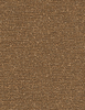 Vanguard Fabric - 4053/16 - Pollack