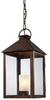 65042-1 Mini Pendants-Chain - 606004 - Capital Lighting, Inc.