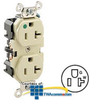 Leviton Back and Side Wired Duplex Receptacle -- 8300 - Image