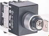 Cam Switch -- NY11AC1C1 - Image