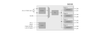 Si5355 LVCMOS 8 Output Clock Generator -- Si5355 - Image