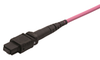 MTP® Connectors - Image