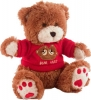 Wireless Teddy Bear Hidden Camera - Advance Security Products