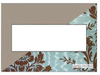 Standard Wall Plate - AWM3G-W4 - Legrand - Pass & Seymour