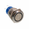 Pushbutton Switches - 450-2478-ND - DigiKey